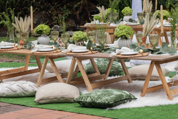 Welcome to Lily Lane Collective...